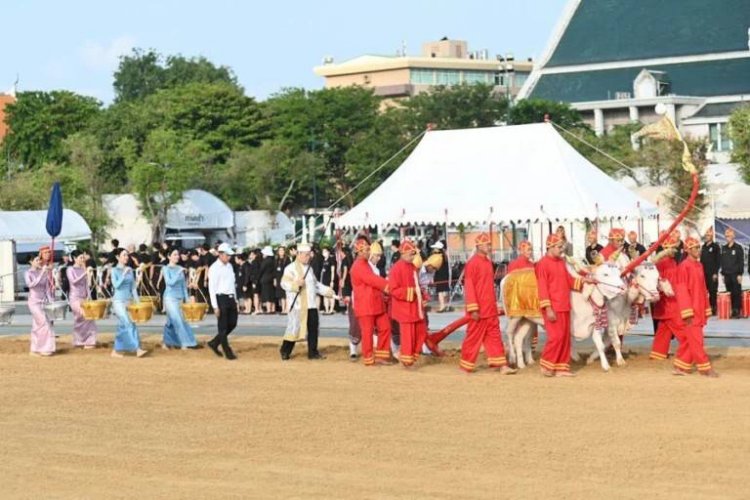 สนามหลวงคึกคักซ้อมใหญ่พิธีแรกนาขวัญตอกย้ำความหวังเกษตรกรไทย