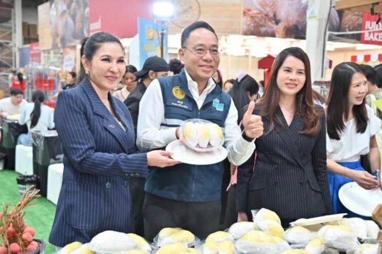 ศึกชิงเค้กทุเรียนเดือด!"แม็คโคร–โลตัส"รับซื้อพุ่ง 3 เท่าจัดโปรบุฟเฟต์ 599 ระบายผลผลิตทั้งประเทศ
