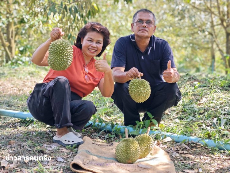 จากความทรงจำวัยเด็ก..."จ่าเชฐ "สู่เจ้าสัวสวนทุเรียนมูซังคิง-หนมดำ" แห่งเมืองตรัง