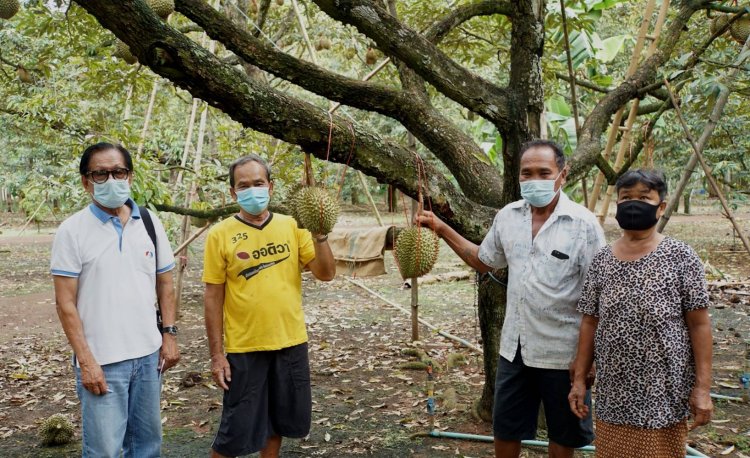 ปฐมบท!"ทุเรียนดินภูเขาไฟศรีสะเกษ"ต้นกำเนิดจากตำบลพราน อำเภอขุนหาญ สู่สินค้าพรีเมี่ยมดังไกลข้ามโลก!!!