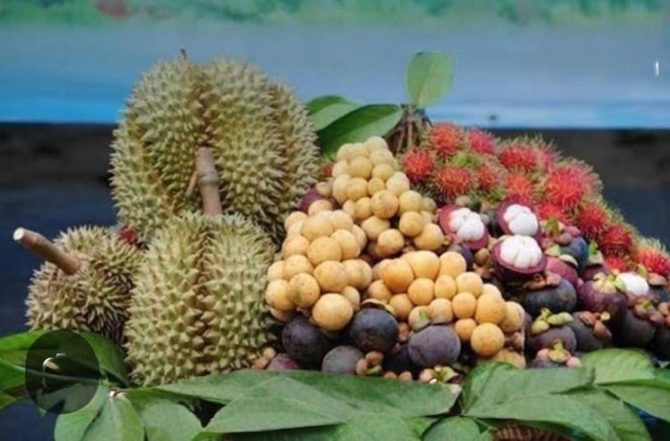 ศรีสะเกษเตรียมจัดใหญ่มหกรรมเทศกาลผลไม้-ของดีเมืองกันทรลักษ์กระตุ้นศก.ท้องถิ่น