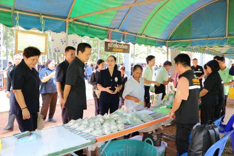 ศรีสะเกษจัดโครงการคลินิกเกษตรเคลื่อนที่ฯ ไตรมาส 3 นำบริการเกษตรครบวงจรถึงพื้นที่อำเภอน้ำเกลี้ยง
