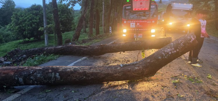 ระทึก!พายุฝนถล่มอำเภอพร้าวต้นไม้ใหญ่ล้มขวางถนนสายเชียงใหม่ – พร้าว ปิดทางสัญจร