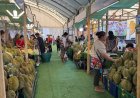 เชิญชวนเที่ยวชม งานเทศกาลทุเรียนดินภูเขาไฟ หน้าศาลากลางศรีสะเกษ