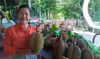 เปิด ‘สวนสุขสำราญ’ กบินทร์บุรี ชิม ช้อป เงาะ-ทุเรียน สดจากต้น