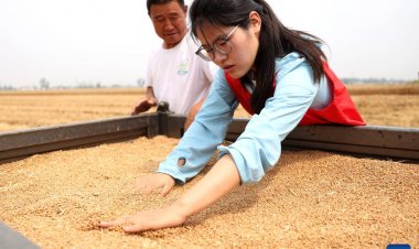 คนรุ่นใหม่คืนถิ่น! เหอหนานจ้างบัณฑิตจบใหม่ช่วยพัฒนาชนบท