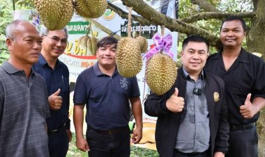 ทุเรียนทองผาภูมิของดี GI เมืองกาญจน์เปิดเวทีประมูลสุดเดือดคาดราคาทะลุ 5 หมื่นบาท
