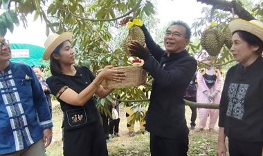 เริ่มแล้ว! ฤดูกาลทุเรียนอุทัยธานี 2569 ผลไม้คุณภาพดีจากแหล่งผลิตของจังหวัดอุทัยธานี