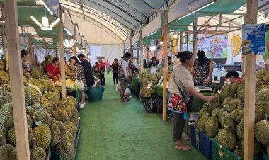 เชิญชวนเที่ยวชม งานเทศกาลทุเรียนดินภูเขาไฟ หน้าศาลากลางศรีสะเกษ