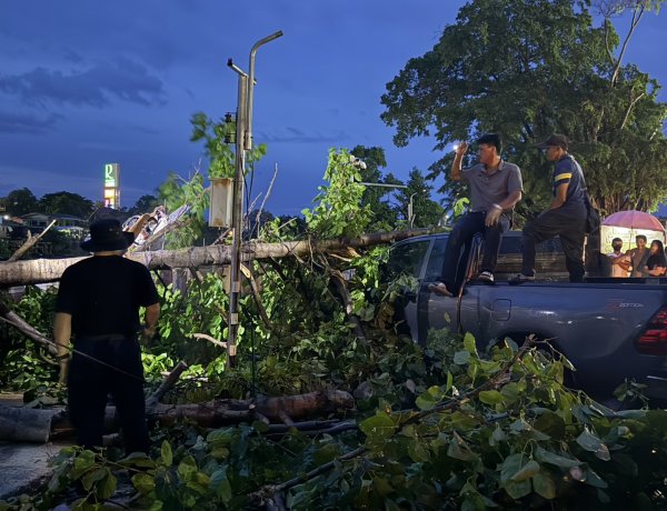 ระทึก!พายุฝนซัดต้นไม้ใหญ่ล้มทับปิคอัพพังยับหน้า รพ.อภัยภูเบศร  โชคดีไร้เจ็บ-ตาย