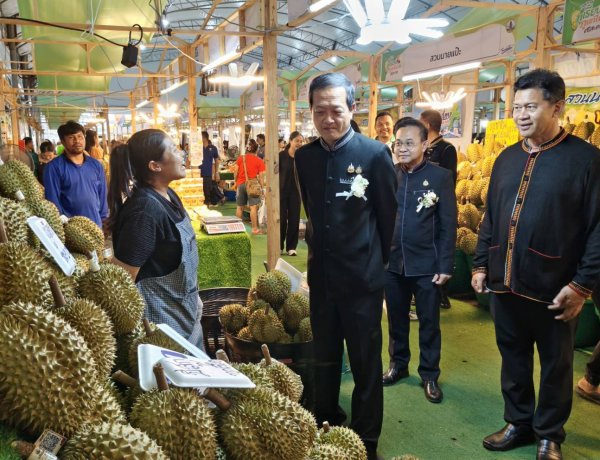 ยิ่งใหญ่อลังการ!"เทศกาลทุเรียนดินภูเขาไฟศรีสะเกษ"ส่งเสริมท่องเที่ยว-กระตุ้นเศรษฐกิจท้องถิ่น