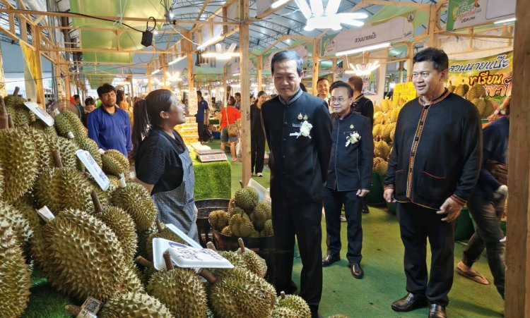 ยิ่งใหญ่อลังการ!"เทศกาลทุเรียนดินภูเขาไฟศรีสะเกษ"ส่งเสริมท่องเที่ยว-กระตุ้นเศรษฐกิจท้องถิ่น