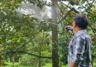 ศรีสะเกษนำร่องปลูก 'ทุเรียนภูเขาไฟ GI คาร์บอนต่ำ' ยกระดับผลผลิตสู่สากล