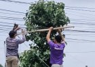 "หมวดนพ -เสี่ยหนึ่ง ภูอินน์ "ควักเงินส่วนตัวติดตั้งไฟฟ้าแสงสว่าง 4 แยกหน้าวัดหนองบัว