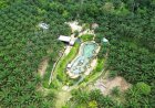 นทท.แห่เที่ยว " Oasis Krabi  สระน้ำผุดทุ่งสูง" น้ำผุดเย็นธรรมชาติกลางสวนปาล์มน้ำมัน