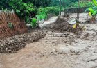 แม่อายอ่วม!ฝนกระหน่ำน้ำป่าทะลักท่วมบ้านห้วยสานต้นไม้ยักษ์โค่นทับกระบะ-สายไฟขาด