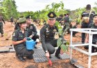 “ปลูกป่า 3 ปราสาท เฉลิมพระเกียรติฯ” ฟื้นฟูป่าชายแดนสุรินทร์ เป้าหมาย 5,000 ต้น