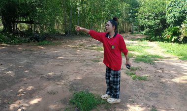 วิกฤตช้างป่าทับลานทะลัก 2 จังหวัด!โขลงใหญ่ปรับพฤติกรรมหนีโดรนกระจายหากินไกลกว่า 10 กม.