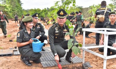 “ปลูกป่า 3 ปราสาท เฉลิมพระเกียรติฯ” ฟื้นฟูป่าชายแดนสุรินทร์ เป้าหมาย 5,000 ต้น
