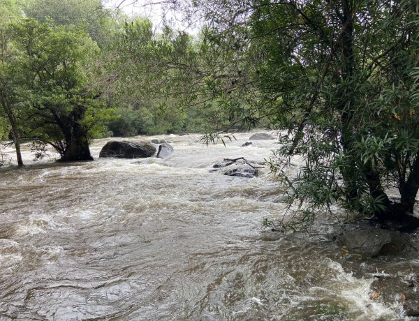 เขาใหญ่เฝ้าระวังขั้นสูงสุด! พิษ "ไมสัก" ดันฝนสะสมทะลุ 730 มม. เขื่อนตะค้อเร่งระบายหนีน้ำท่วม—นาดีพลิกวิกฤตเปิดเทศกาลล่องแก่งหินเพิงได้พลัน