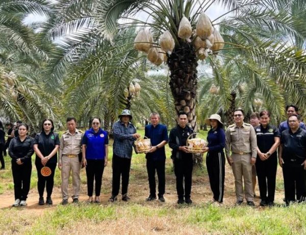 ลพบุรีเร่งปั้น ‘หนองม่วง’ เมืองเมล่อน–อินทผลัม สู่แหล่งท่องเทียวเชิงเกษตร