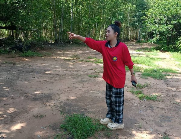 วิกฤตช้างป่าทับลานทะลัก 2 จังหวัด!โขลงใหญ่ปรับพฤติกรรมหนีโดรนกระจายหากินไกลกว่า 10 กม.