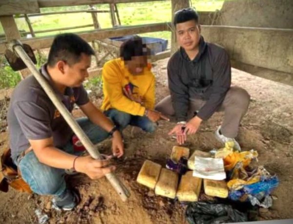 ตำรวจชัยภูมิ รวบเอเย่นต์คาไร่มัน ก่อนขุดใต้คอกควาย ยึดยาบ้ากว่า 6 หมื่นเม็ด