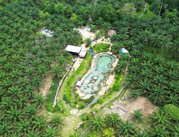 นทท.แห่เที่ยว " Oasis Krabi  สระน้ำผุดทุ่งสูง" น้ำผุดเย็นธรรมชาติกลางสวนปาล์มน้ำมัน
