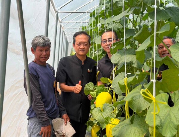 ผู้ว่าฯ ศรีสะเกษ ดัน ‘เมล่อนโนนคูณ’ สู่พืชเศรษฐกิจ ชูขายออนไลน์–สร้างแบรนด์ เพิ่มรายได้เกษตรกร