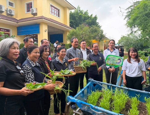 ผู้ว่าฯ ศรีสะเกษ ทำแจ๋ว พาเก็บผักจากแปลงสวนครัวต้นแบบ สืบสานแนวพระราชดำริ สร้างความมั่นคงทางอาหารอย่างยั่งยืน