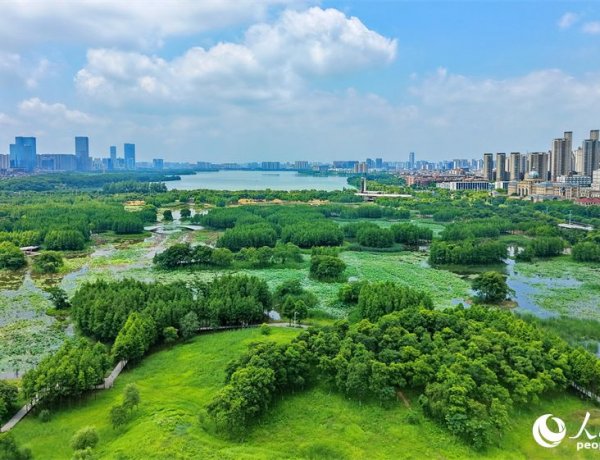 หนานชางเร่งพัฒนาสวนชุ่มน้ำ สร้าง ‘ปอดสีเขียว’ กลางเมือง