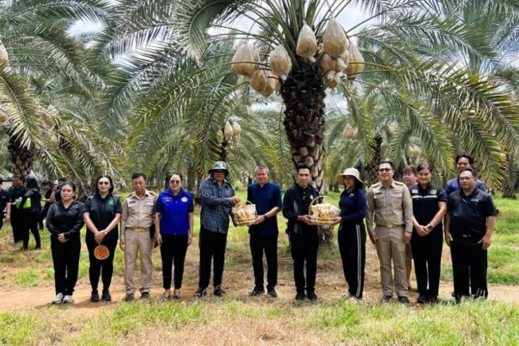 ลพบุรีเร่งปั้น ‘หนองม่วง’ เมืองเมล่อน–อินทผลัม สู่แหล่งท่องเทียวเชิงเกษตร