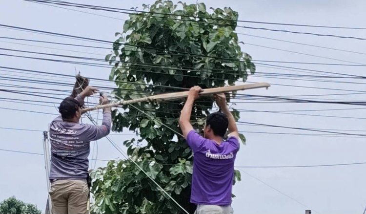 "หมวดนพ -เสี่ยหนึ่ง ภูอินน์ "ควักเงินส่วนตัวติดตั้งไฟฟ้าแสงสว่าง 4 แยกหน้าวัดหนองบัว